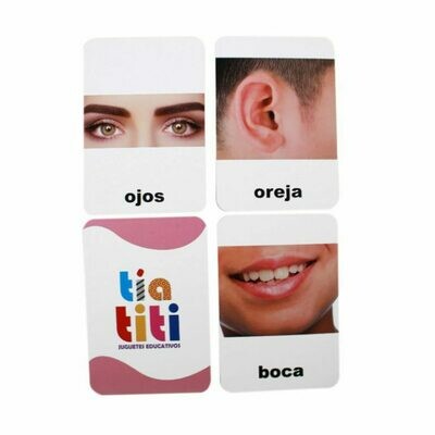 Flashcards Cuerpo Humano