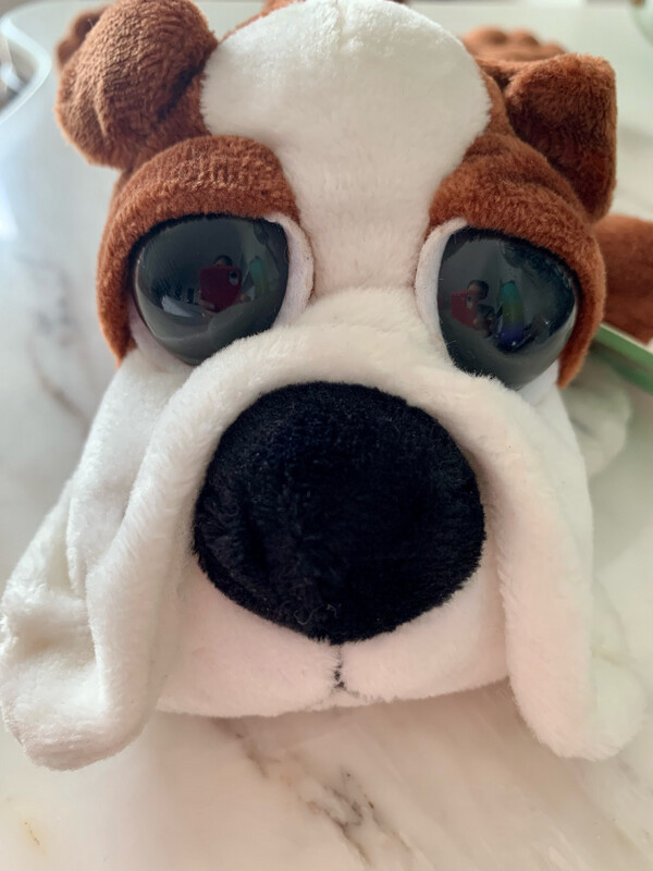 Cartuchera/estuche perrito