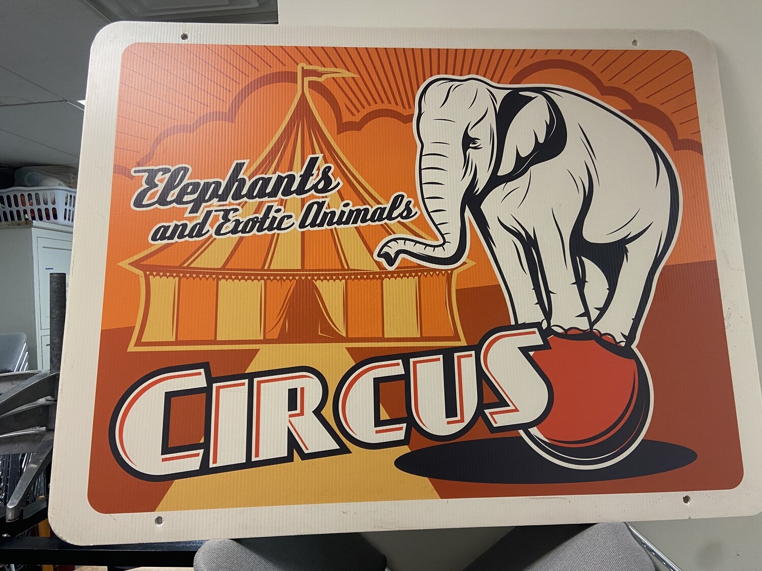 Circus Poster - Elephant