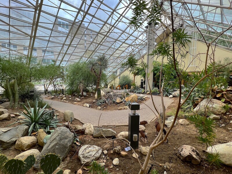 Desert House Improvements