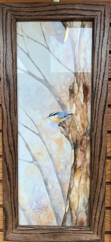 &quot;Red-breasted Nuthatch&quot;