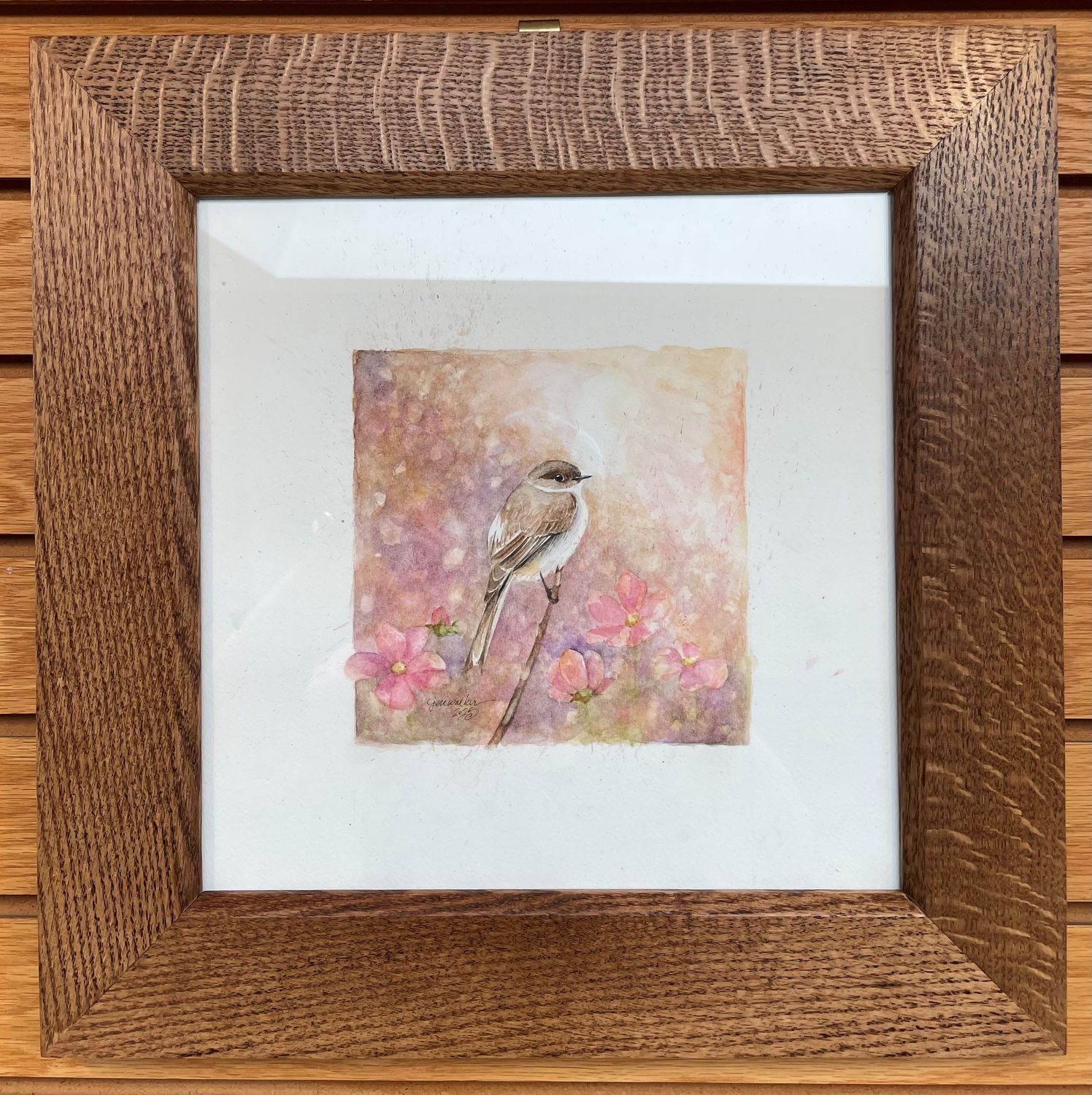 &quot;Eastern Phoebe&quot;