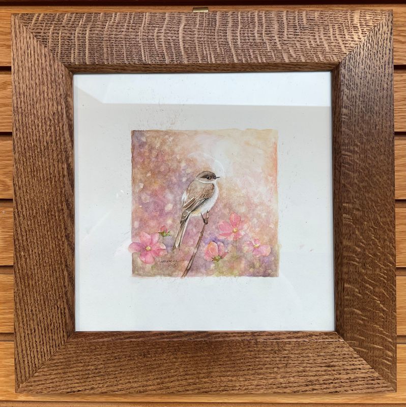 &quot;Eastern Phoebe&quot;