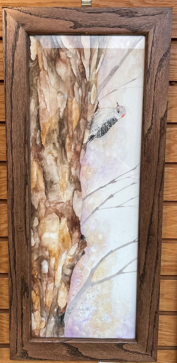 &quot;Red-bellied Woodpecker&quot;
