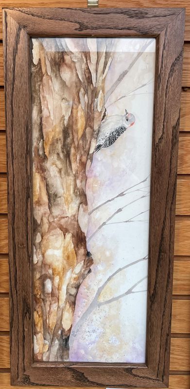 &quot;Red-bellied Woodpecker&quot;