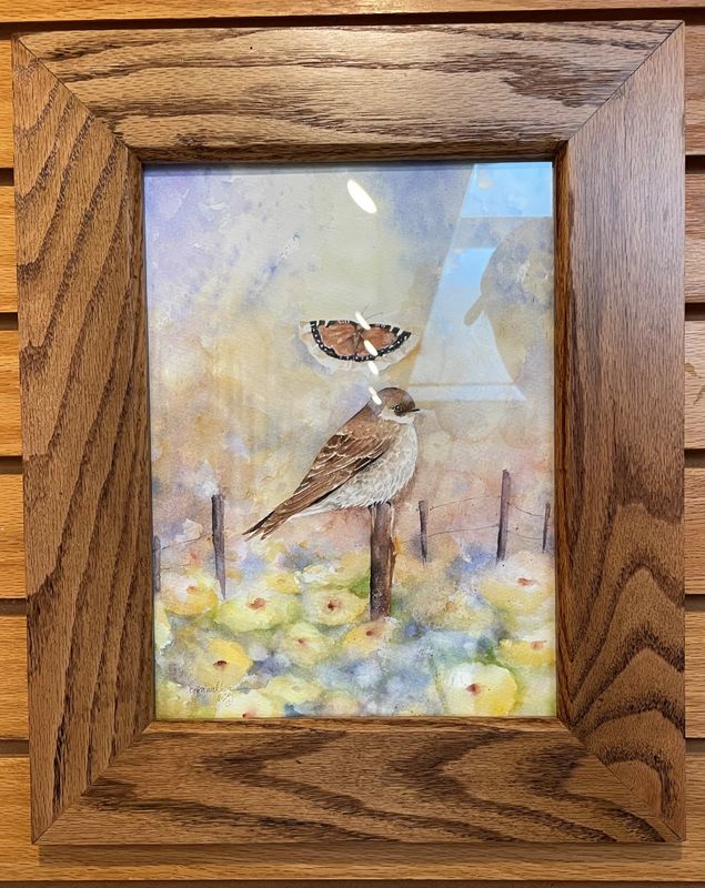 &quot;Northern Rough-wing Swallow&quot;