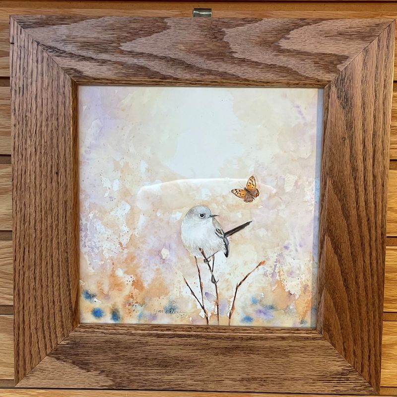 &quot;Gnatcatcher&quot;