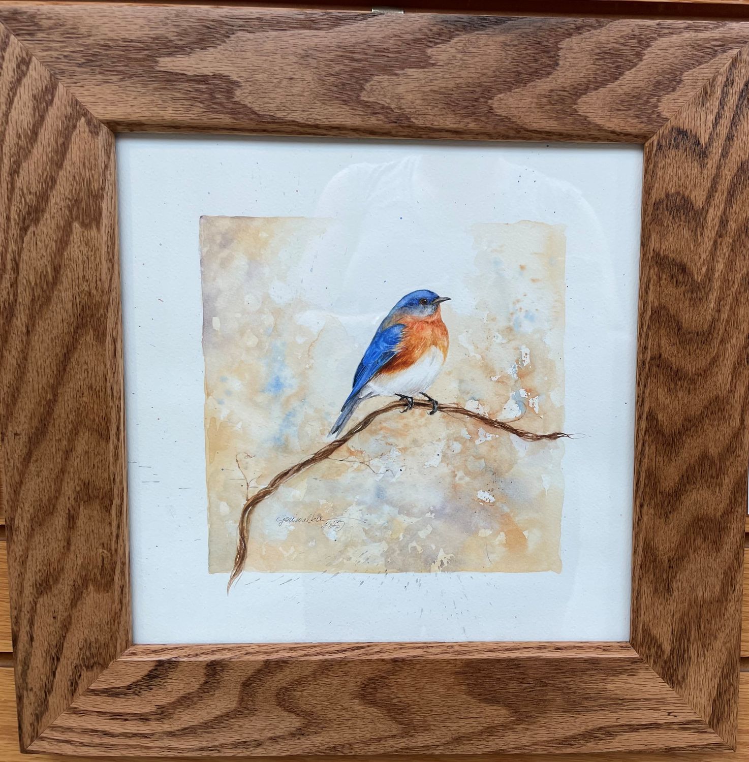 &quot;Eastern Bluebird&quot;