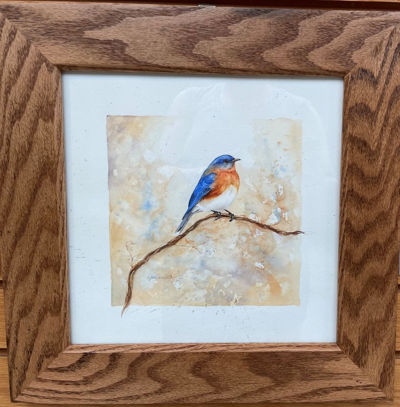 &quot;Eastern Bluebird&quot;
