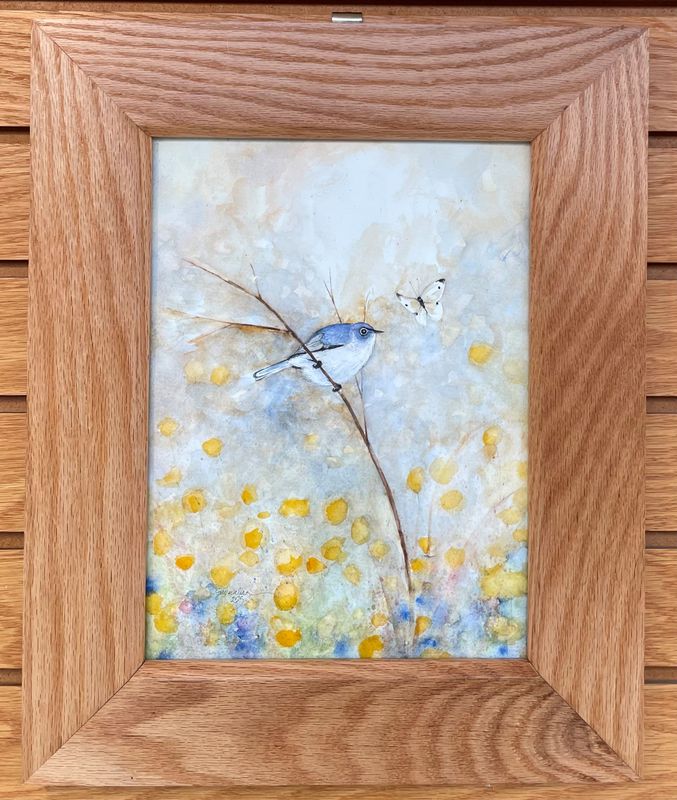 &quot;Blue-gray Gnatcatcher&quot;