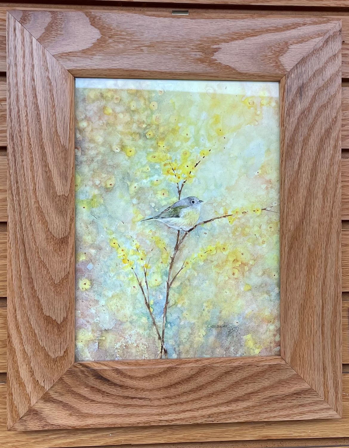 &quot;Nashville Warbler&quot;