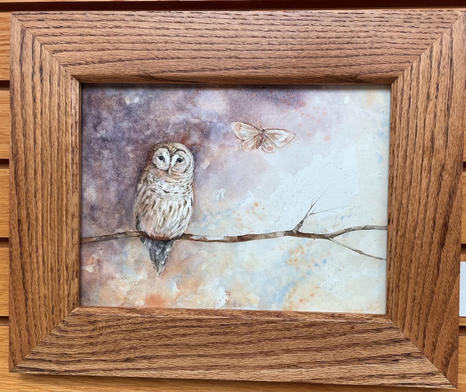 &quot;Barred Owl&quot;