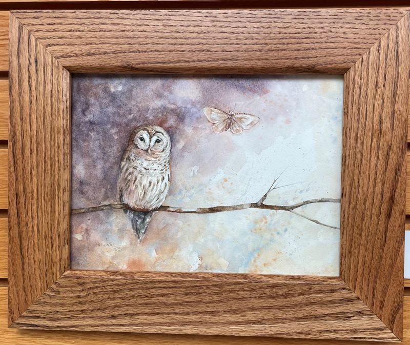 &quot;Barred Owl&quot;