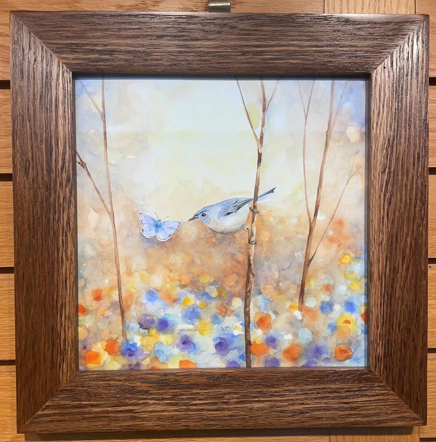 &quot;Blue-gray Gnatcatcher&quot;