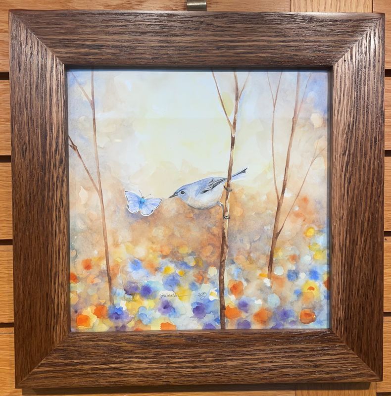 &quot;Blue-gray Gnatcatcher&quot;