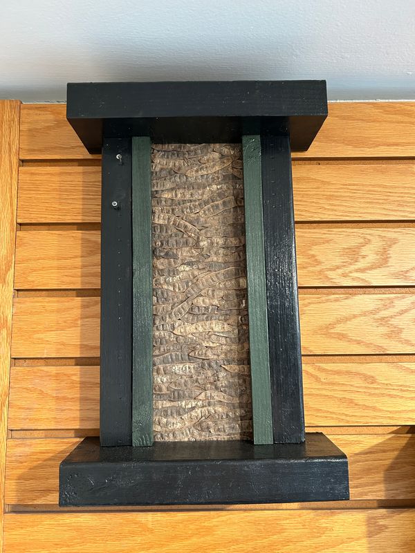 "Black Locust Tree" 1 "Black Locust Tree" 1