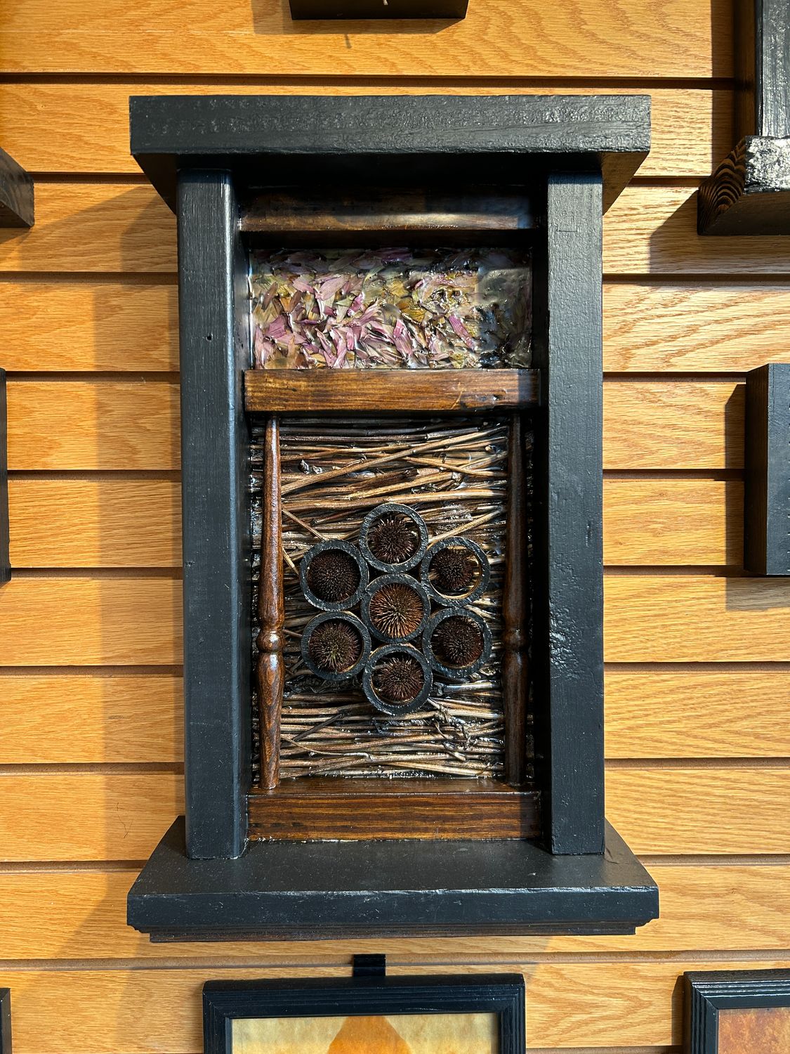 "Coneflower" 2 "Coneflower" 2