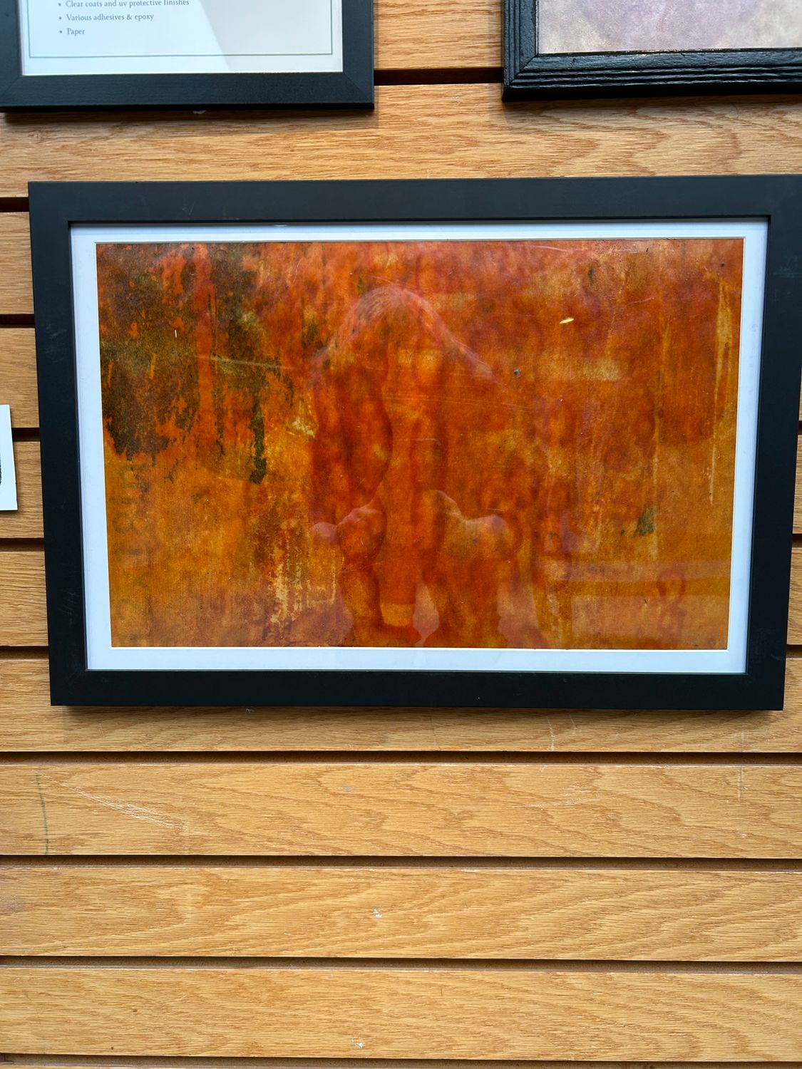 "Swiss Cheese Plant" 5 "Swiss Cheese Plant" 5