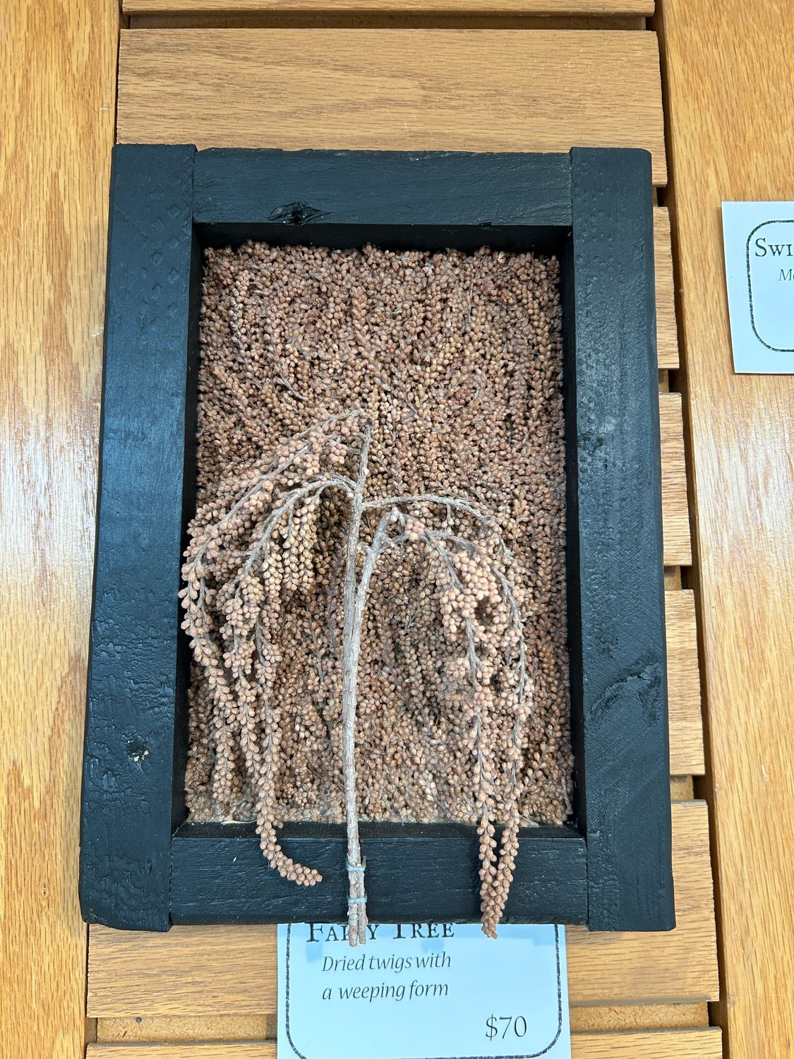 "Fairy Tree" "Fairy Tree"