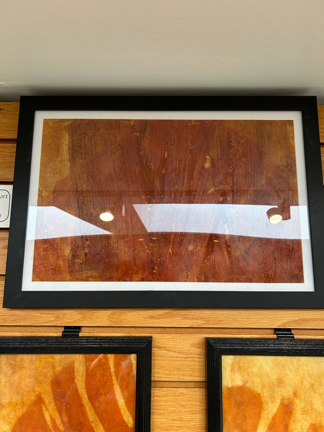 "Swiss Cheese Plant" 1 "Swiss Cheese Plant" 1