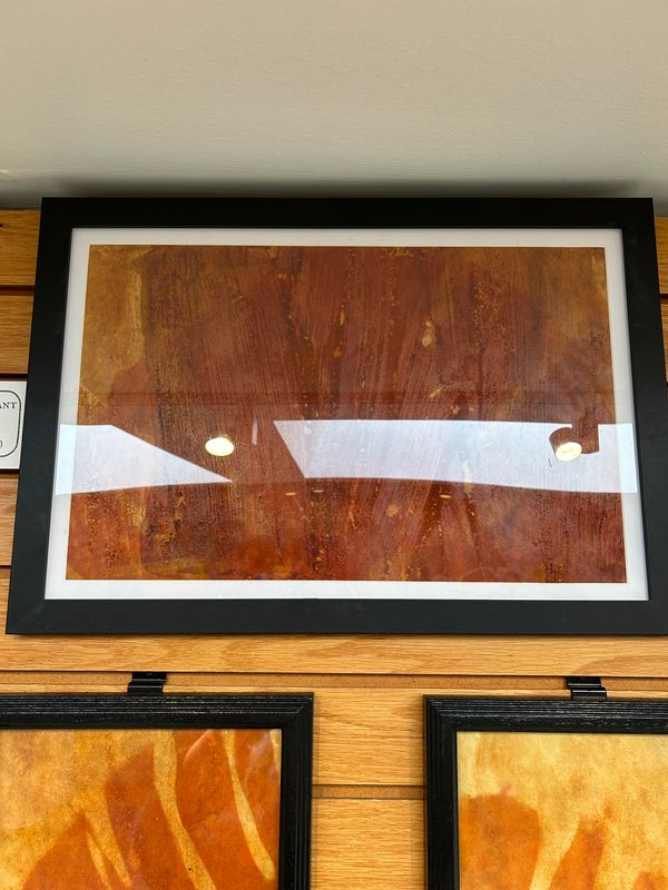 "Swiss Cheese Plant" 1 "Swiss Cheese Plant" 1