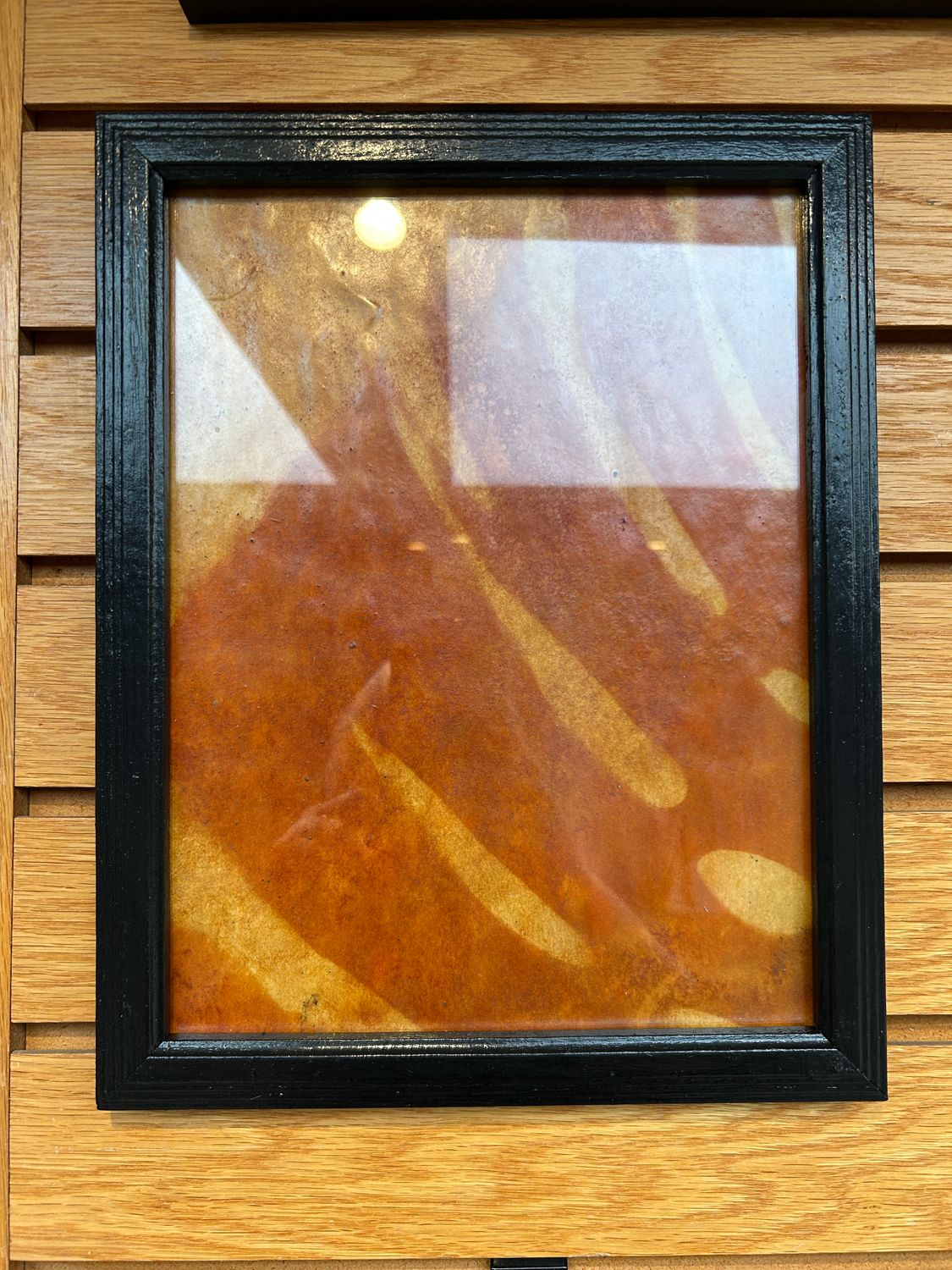 "Swiss Cheese Plant" 2 "Swiss Cheese Plant" 2