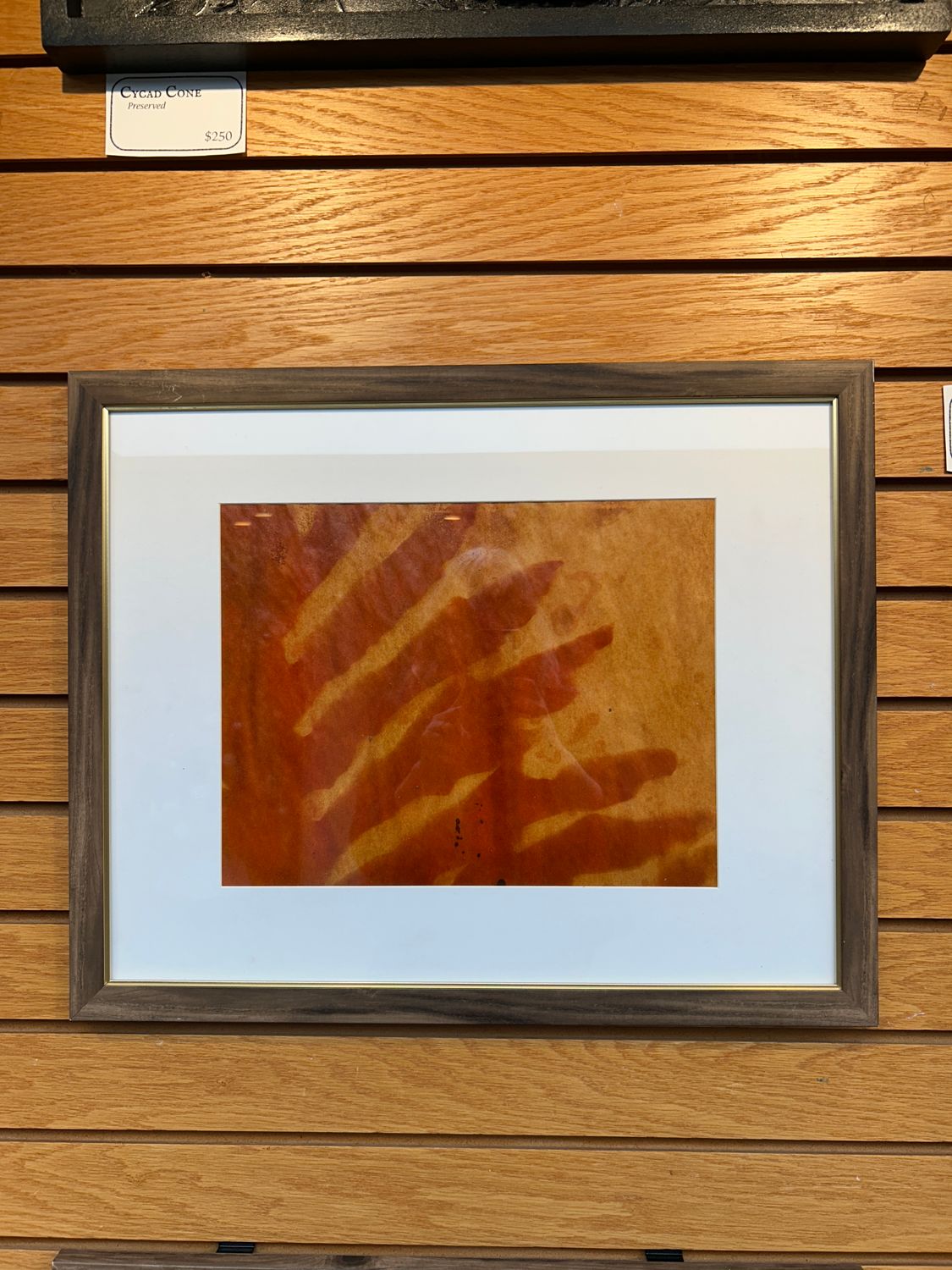 &quot;Split-Leaf Philodendron&quot; 2