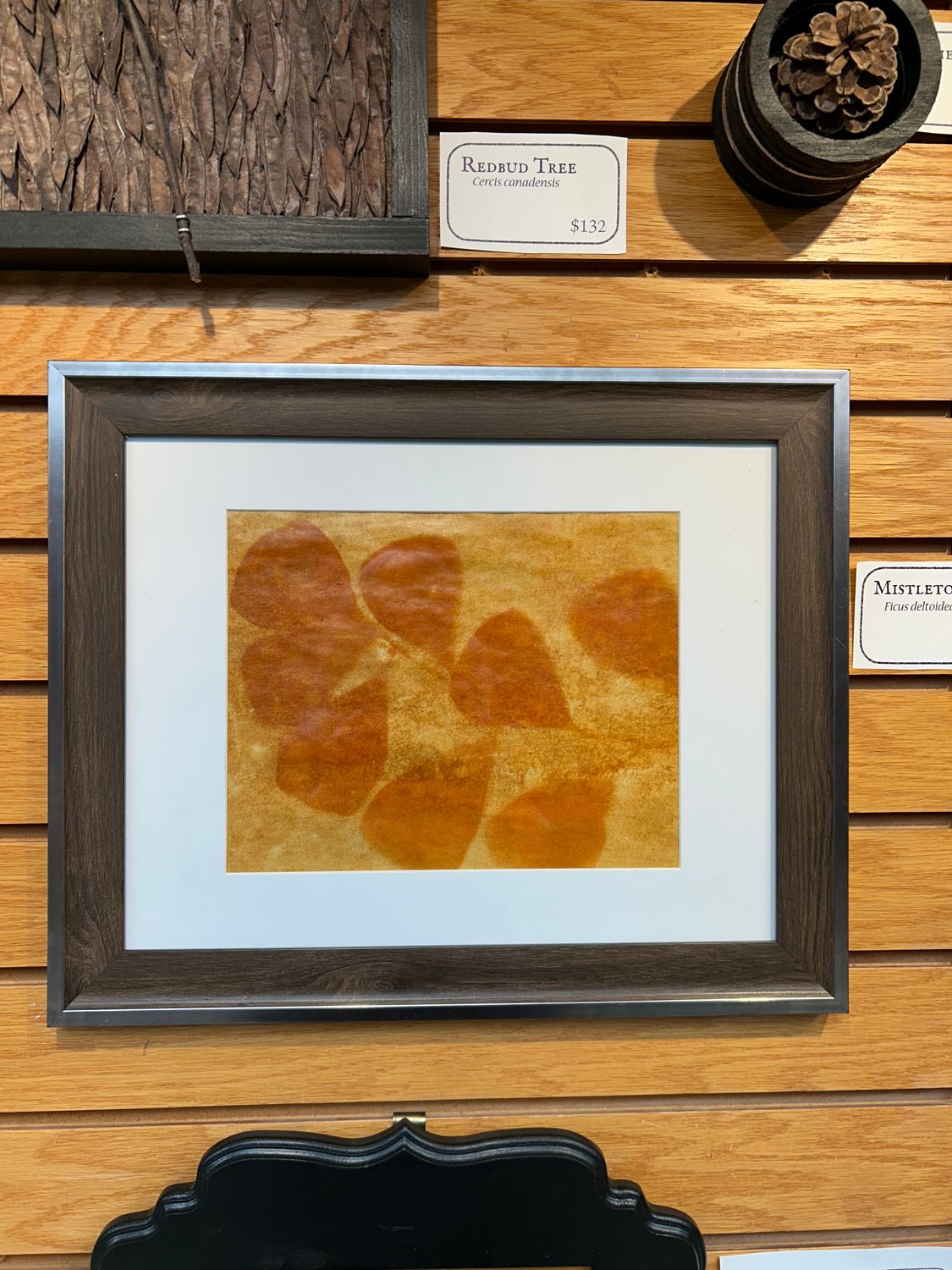 "Mistletoe Fig" "Mistletoe Fig"