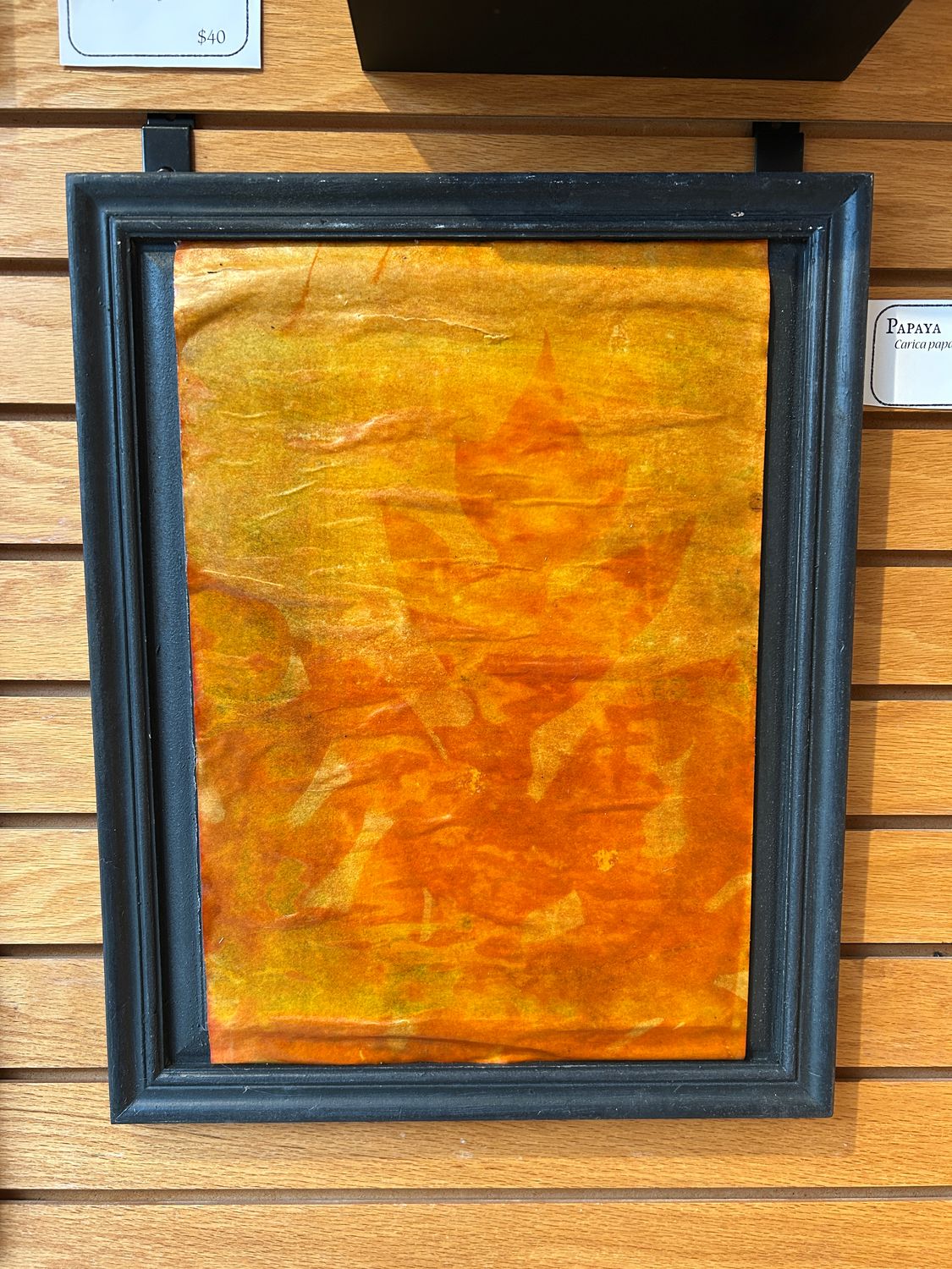 "Papaya" 5 "Papaya" 5