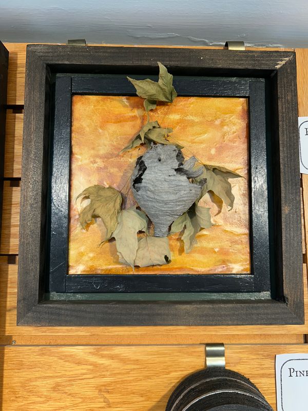 "Empty Threat" "Empty Threat"