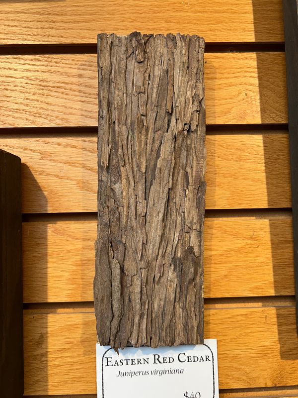 "Eastern Red Cedar" 1 "Eastern Red Cedar" 1