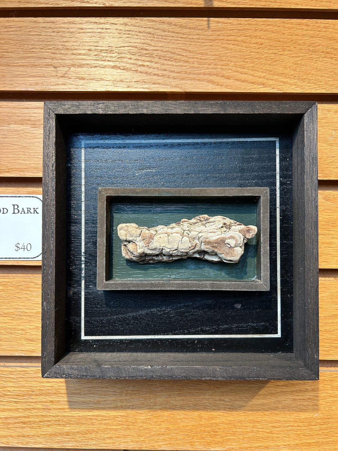 "Driftwood Bark" "Driftwood Bark"