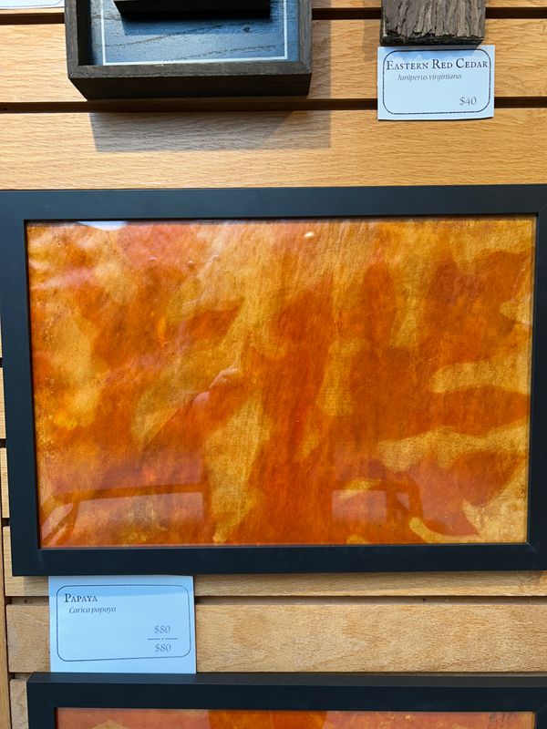 "Papaya" 3 "Papaya" 3