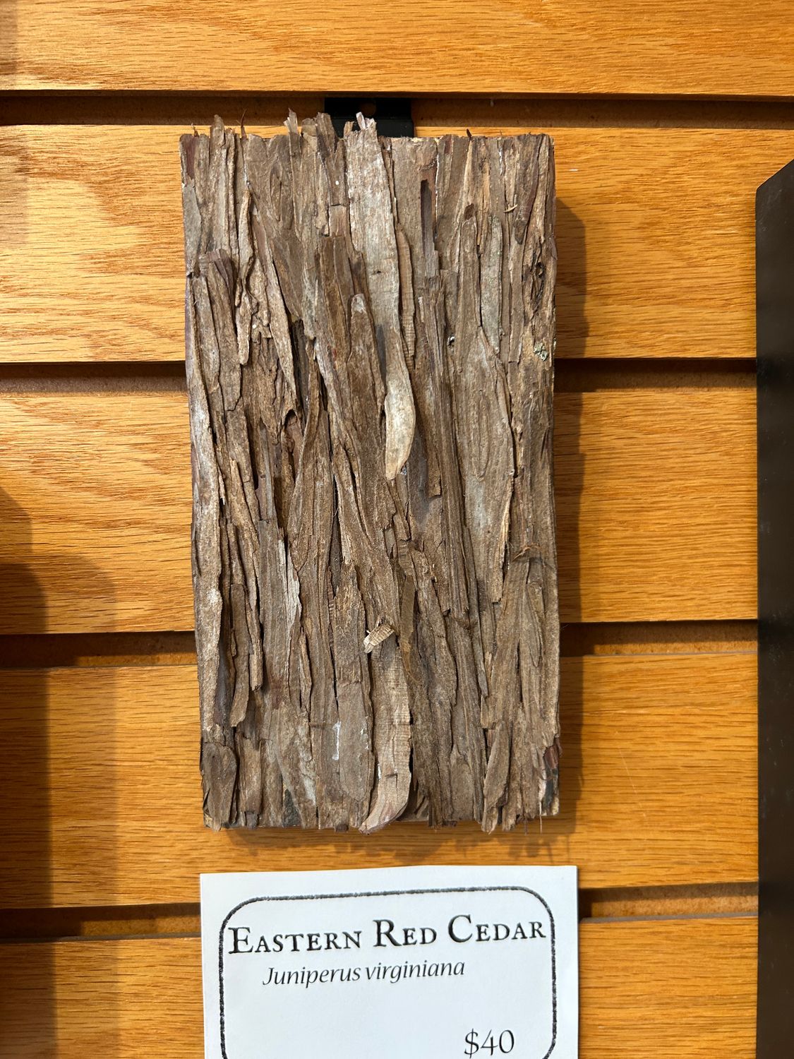 "Eastern Red Cedar" 2 "Eastern Red Cedar" 2