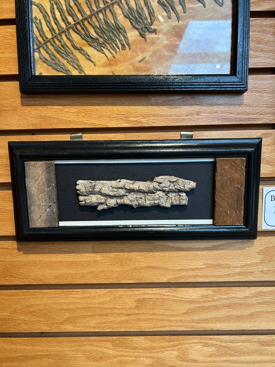 "Bark & Lath" "Bark & Lath"