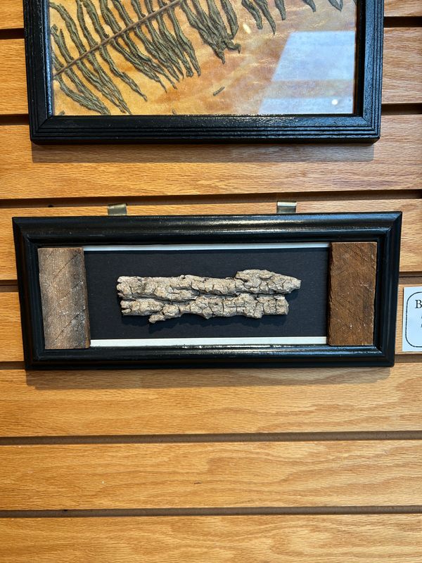 "Bark & Lath" "Bark & Lath"