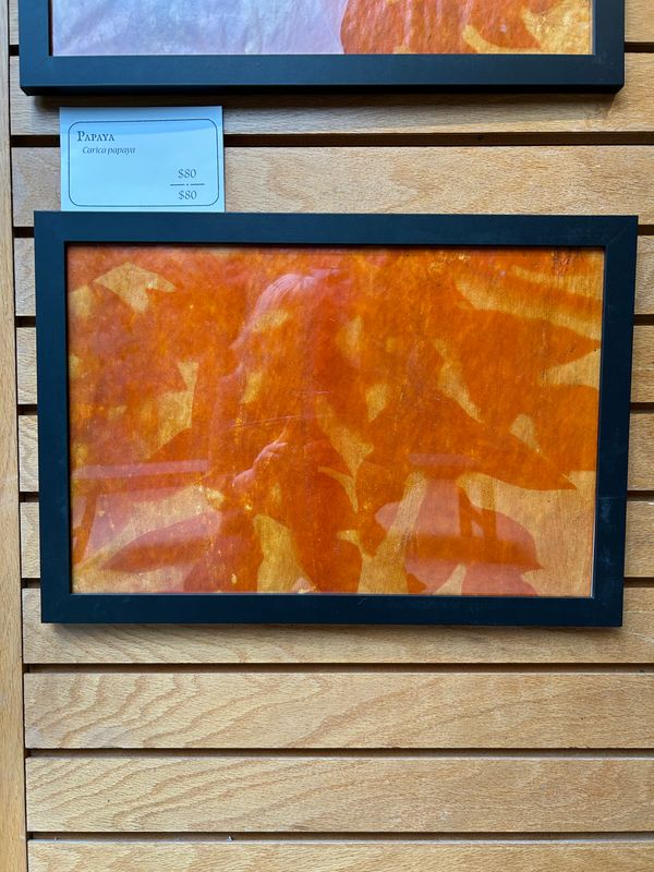 "Papaya" 4 "Papaya" 4