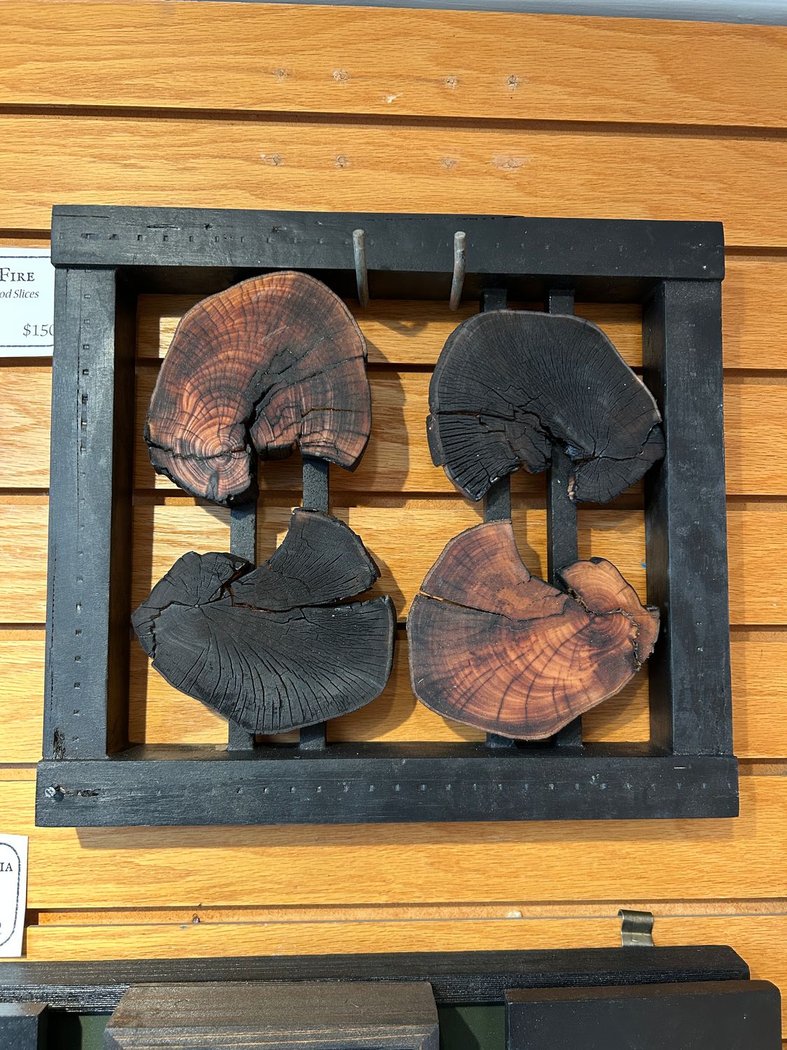 "Spirit of Fire" "Spirit of Fire"