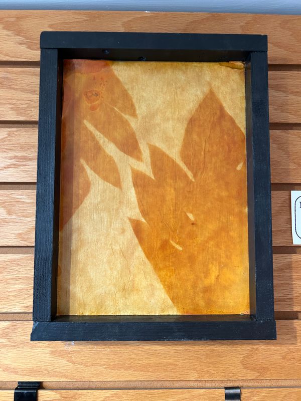 "Breadfruit Tree" 4 "Breadfruit Tree" 4