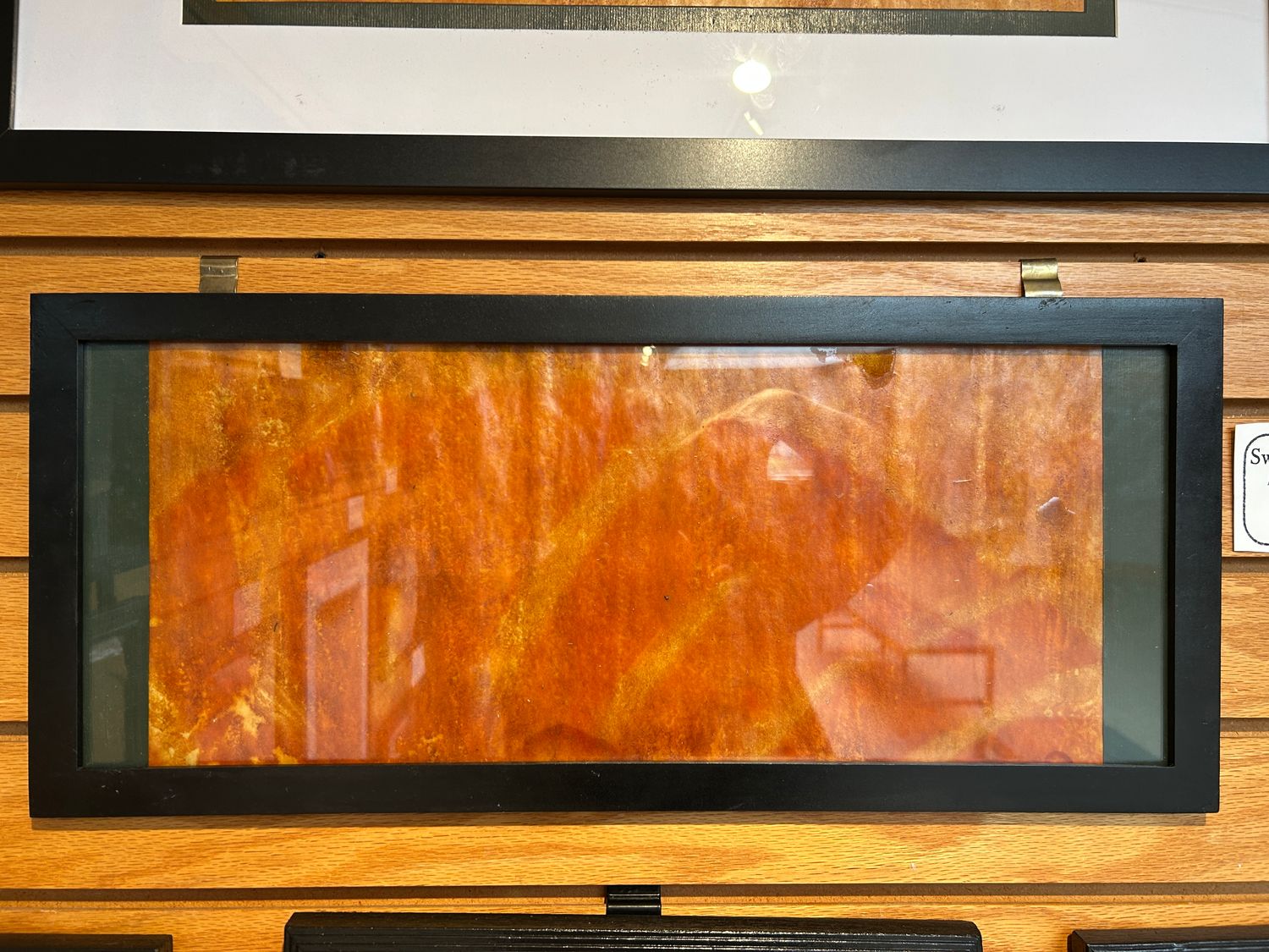 "Swiss Cheese Plant" 7 "Swiss Cheese Plant" 7