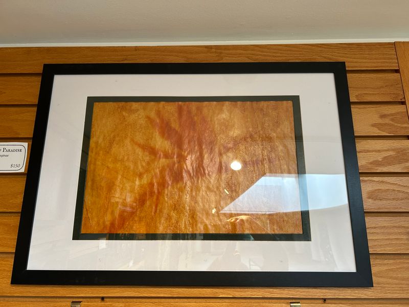 "Bird of Paradise" "Bird of Paradise"