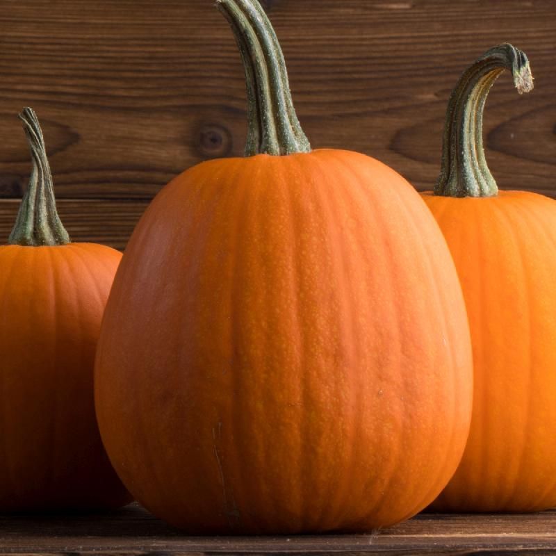 Pumpkin- Jack-O’-Lantern Pumpkin- Jack-O’-Lantern