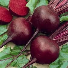 Beet- Detroit Dark Red Beet- Detroit Dark Red