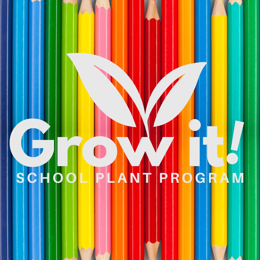 Grow It! Pencils (Bundle of 25)