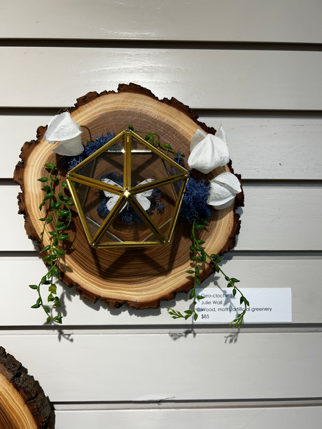 Geo-cloche 3