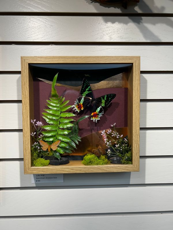 Rainforest Rainforest