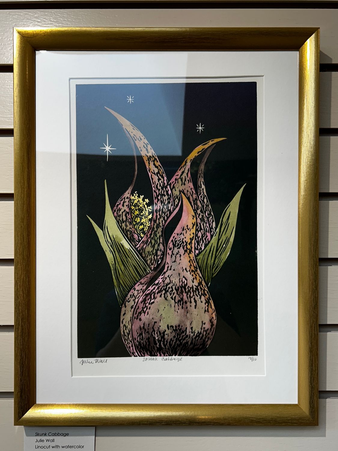 Skunk Cabbage Skunk Cabbage