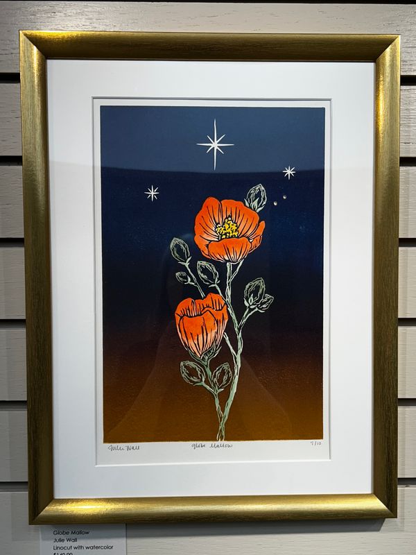 Globe Mallow Globe Mallow