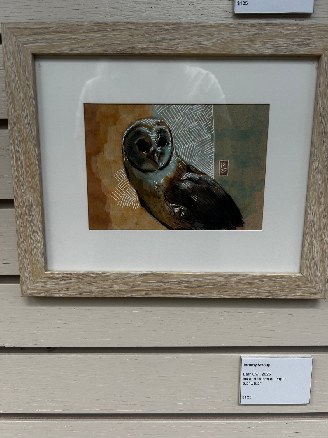 Barn Owl