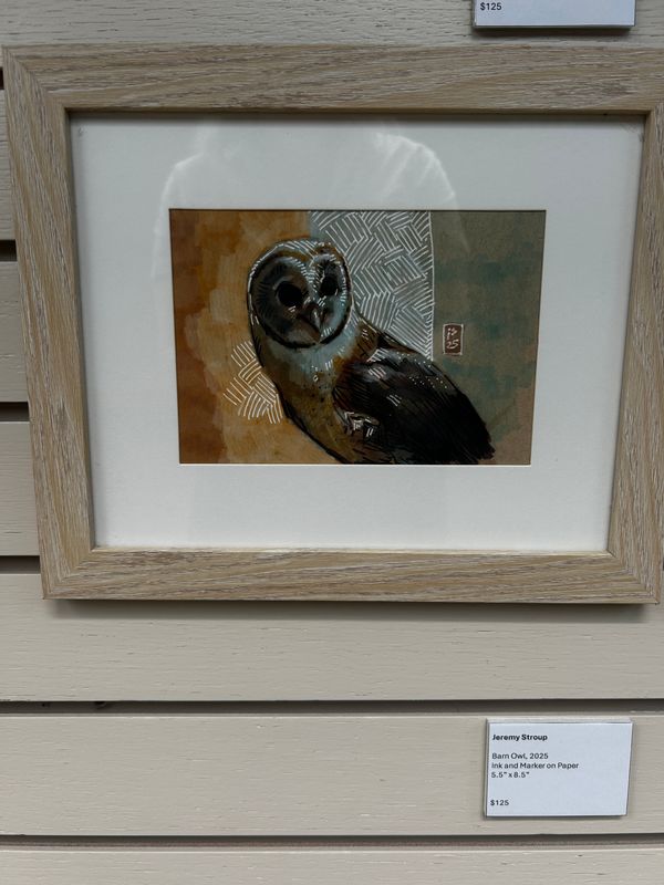 Barn Owl